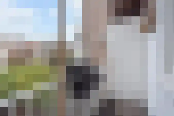 Willem van Outhoornstraat 73 Den Haag thumbnail 18