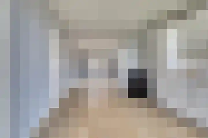 Willem van Outhoornstraat 78 Den Haag thumbnail 5