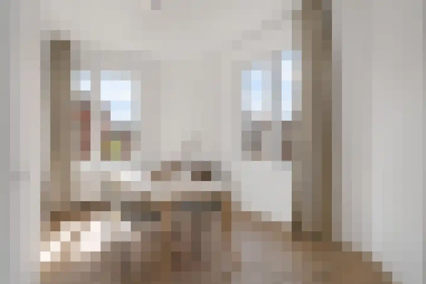 Willem van Outhoornstraat 88 Den Haag thumbnail 19