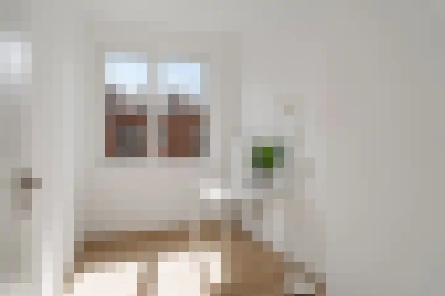Willem van Outhoornstraat 88 Den Haag thumbnail 31