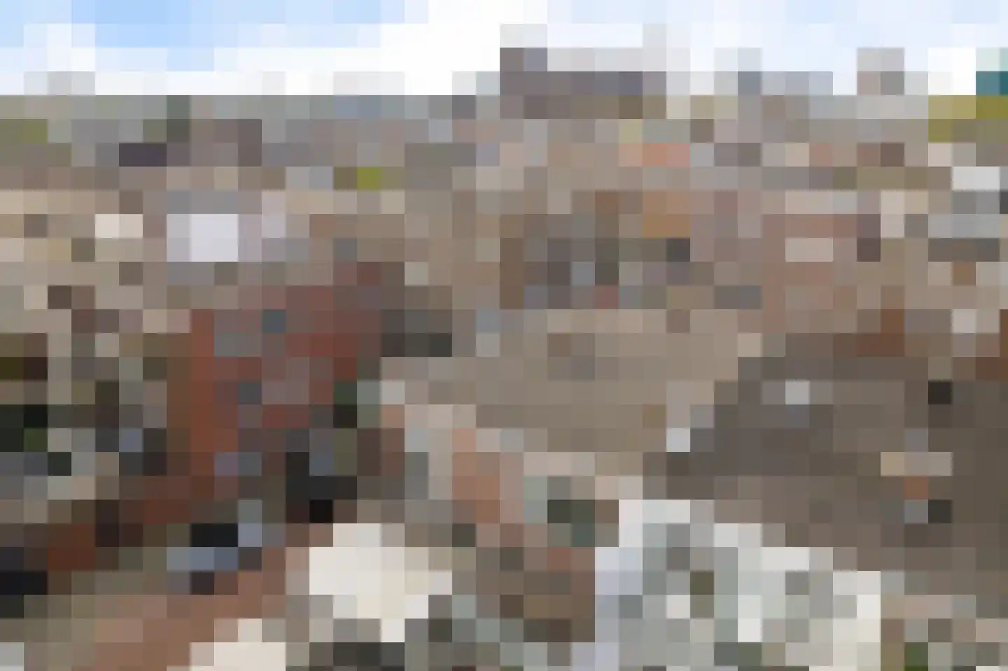 Willem van Outhoornstraat 88 Den Haag thumbnail 7