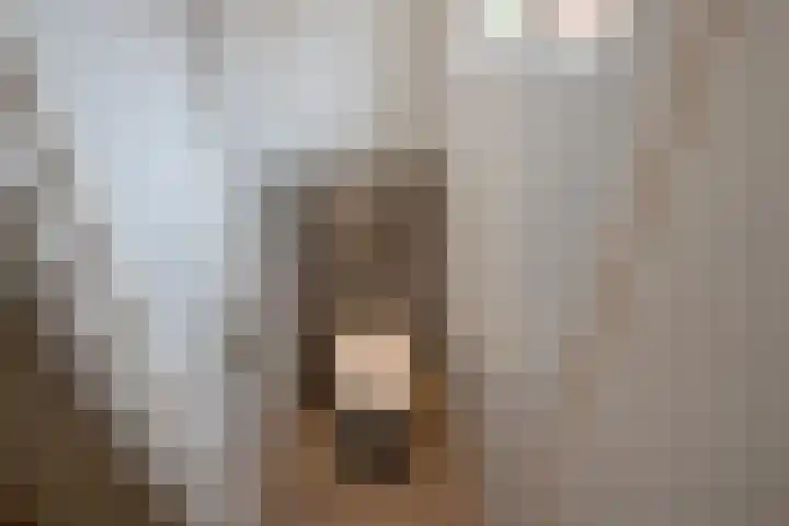Willem van Rijswijckstraat 76 Rijswijk thumbnail 10