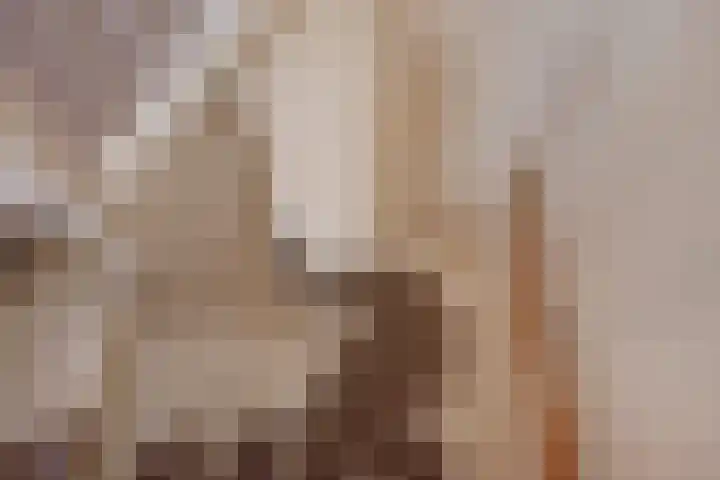 Willem van Rijswijckstraat 76 Rijswijk thumbnail 19