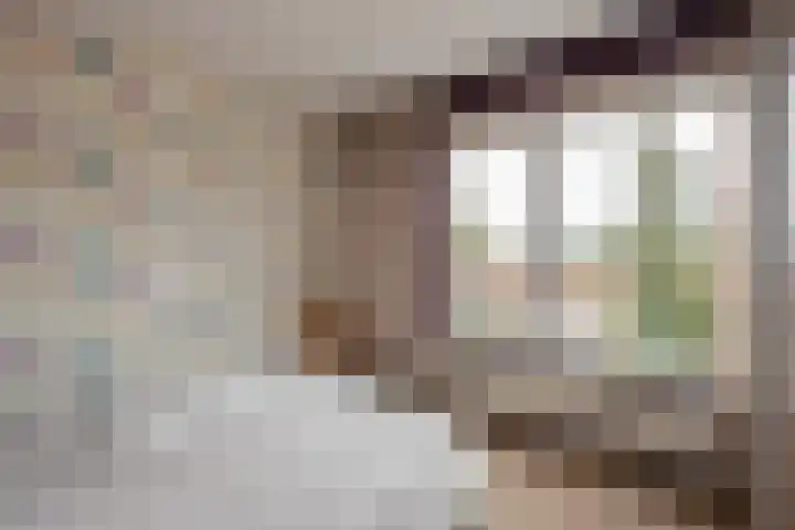 Willem van Rijswijckstraat 76 Rijswijk thumbnail 22