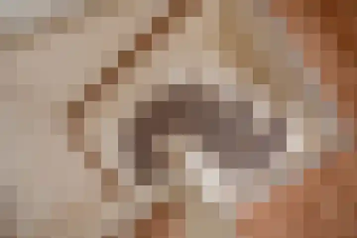 Willem van Rijswijckstraat 76 Rijswijk thumbnail 29