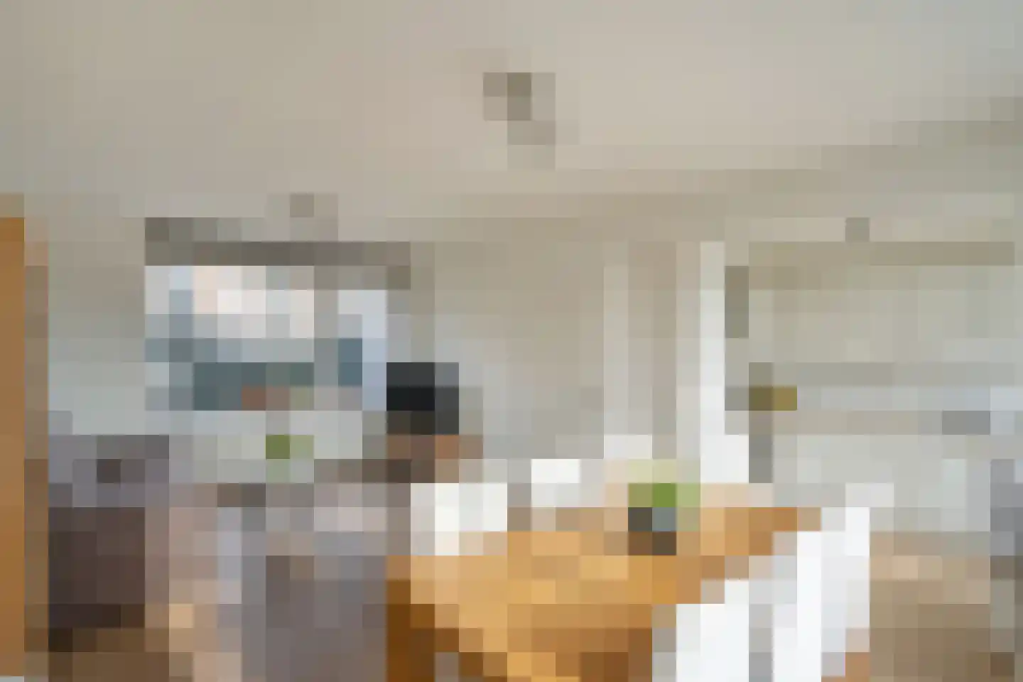 Willem van Rijswijckstraat 94 Rijswijk thumbnail 12