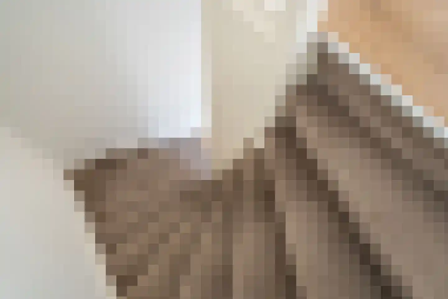 Willem van Rijswijckstraat 94 Rijswijk thumbnail 19