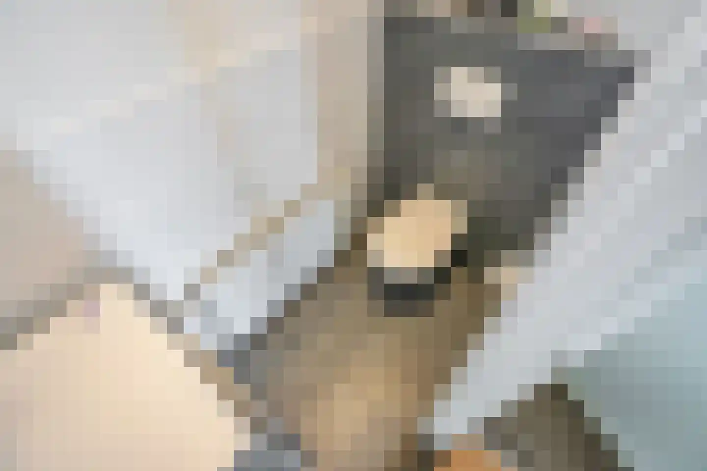 Willem van Rijswijckstraat 94 Rijswijk thumbnail 21
