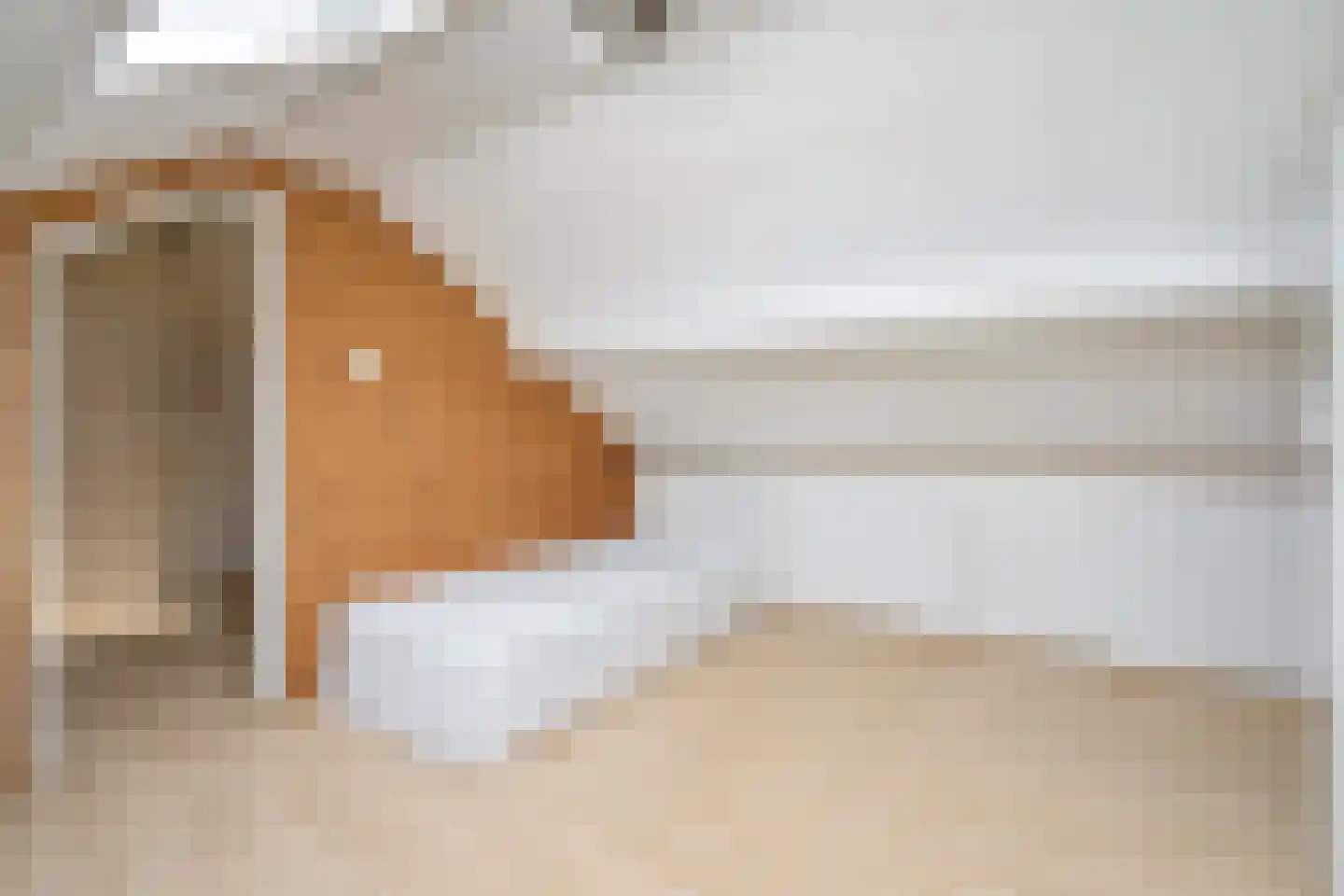Willem van Rijswijckstraat 94 Rijswijk thumbnail 31