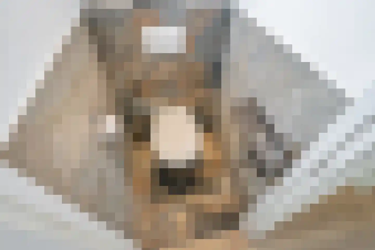Willem van Rijswijckstraat 94 Rijswijk thumbnail 9