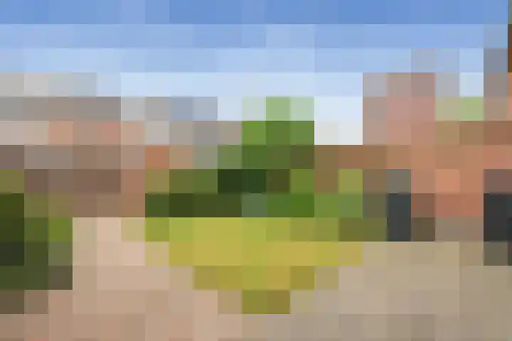 Willem van Velsenstraat 35 Heemskerk thumbnail 10