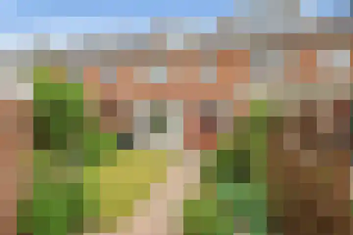 Willem van Velsenstraat 35 Heemskerk thumbnail 13