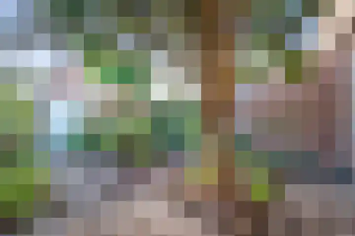 Willem van Velsenstraat 9 Heemskerk thumbnail 32