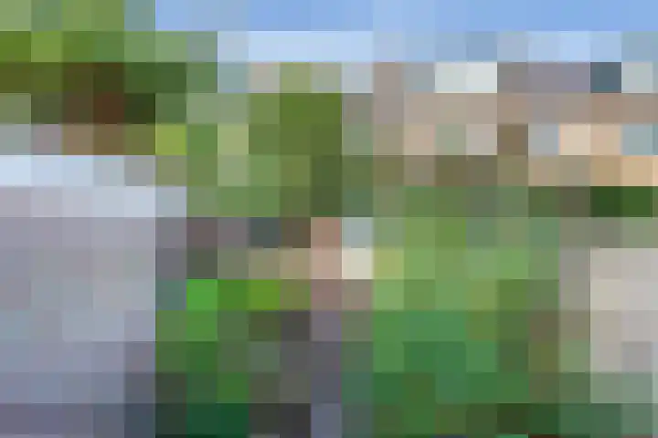 Willem van Velsenstraat 9 Heemskerk thumbnail 34