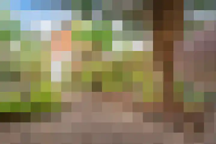 Willem van Velsenstraat 9 Heemskerk thumbnail 36