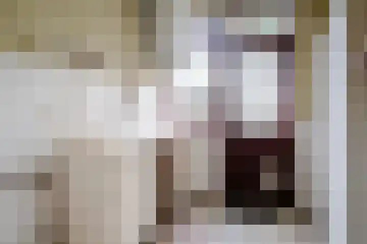 Willem van Velsenstraat 9 Heemskerk thumbnail 5