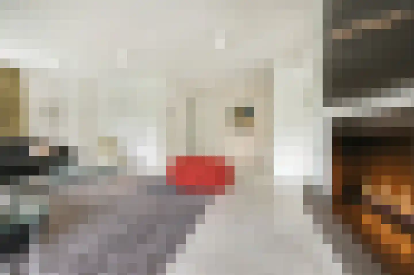 Willem van Weldammelaan 111 Amsterdam thumbnail 17