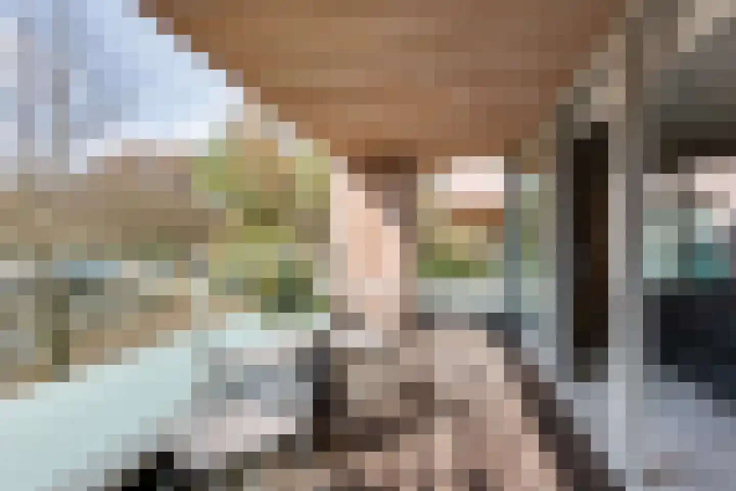 Willem van Weldammelaan 111 Amsterdam thumbnail 19