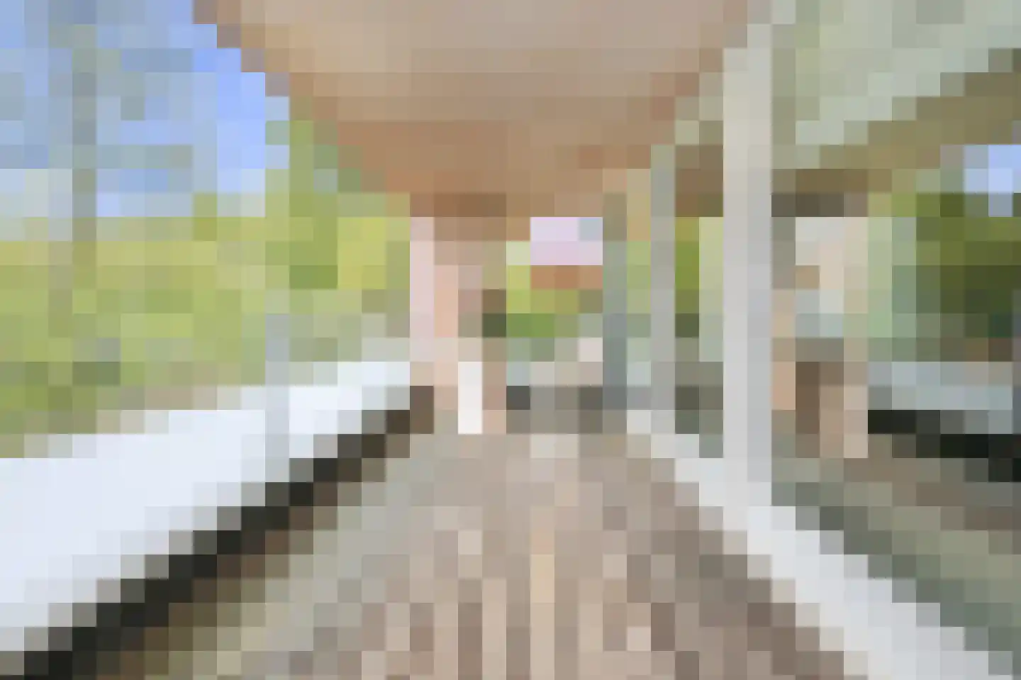Willem van Weldammelaan 111 Amsterdam thumbnail 21