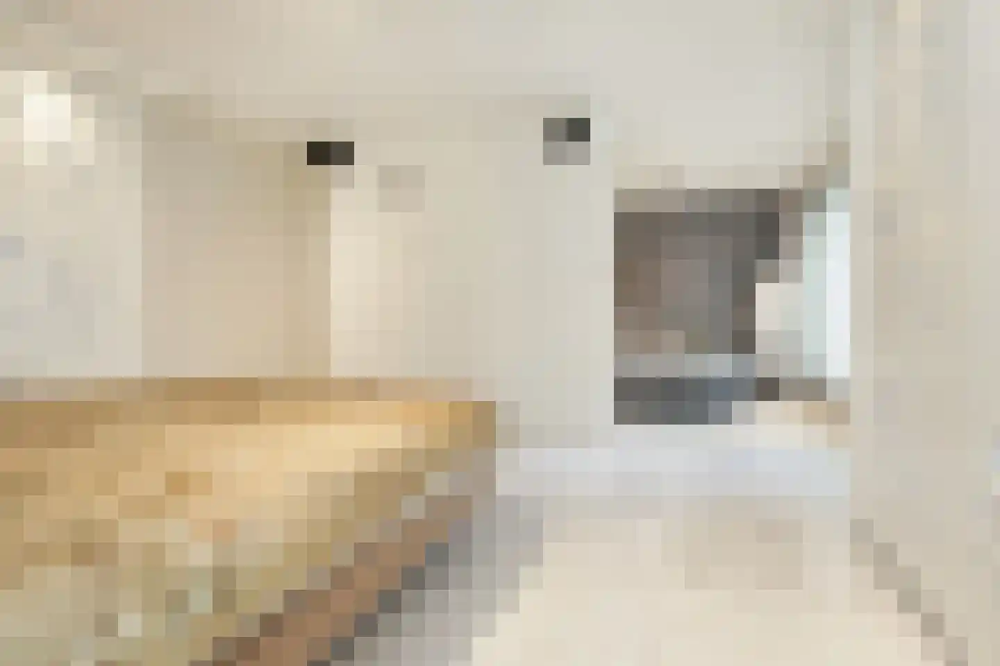 Willem van Weldammelaan 111 Amsterdam thumbnail 24