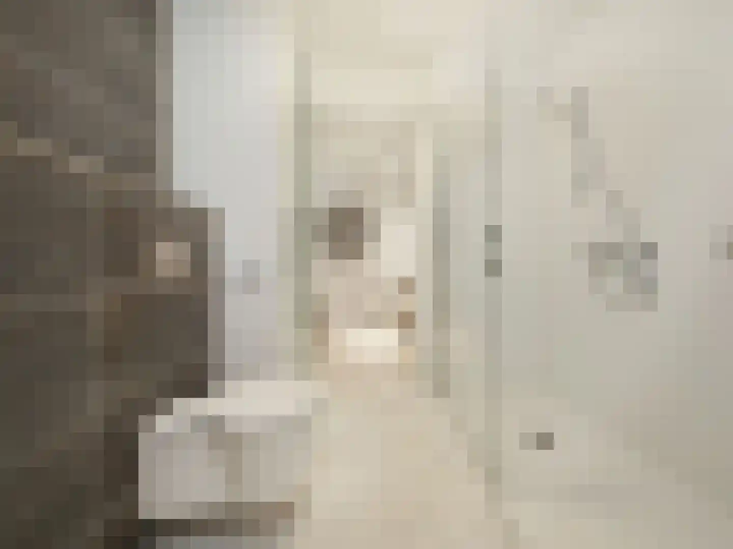 Willem van Weldammelaan 111 Amsterdam thumbnail 33