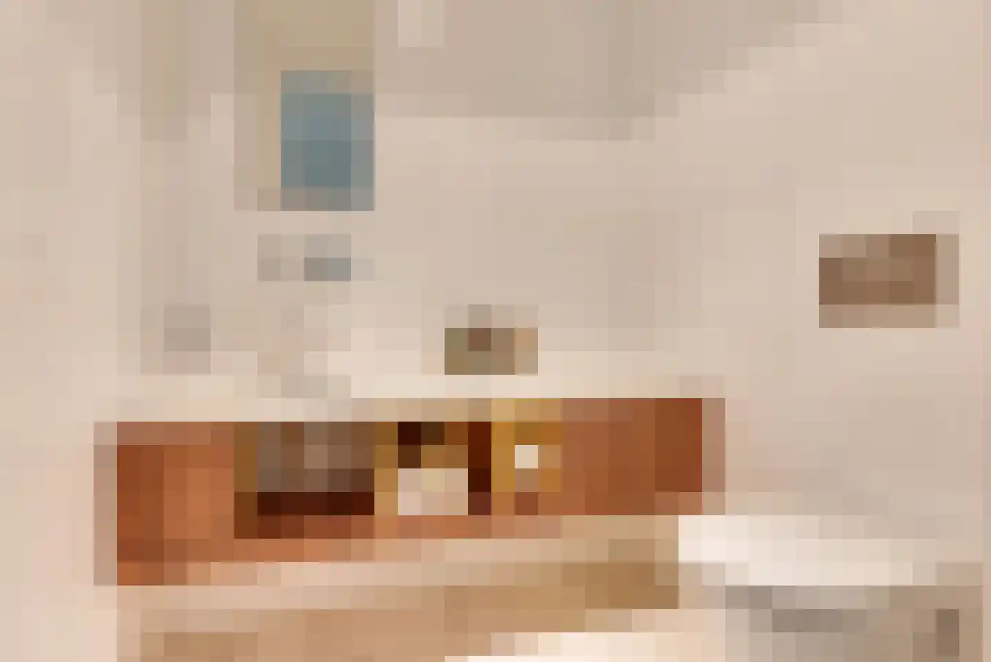 Willem van Weldammelaan 111 Amsterdam thumbnail 36