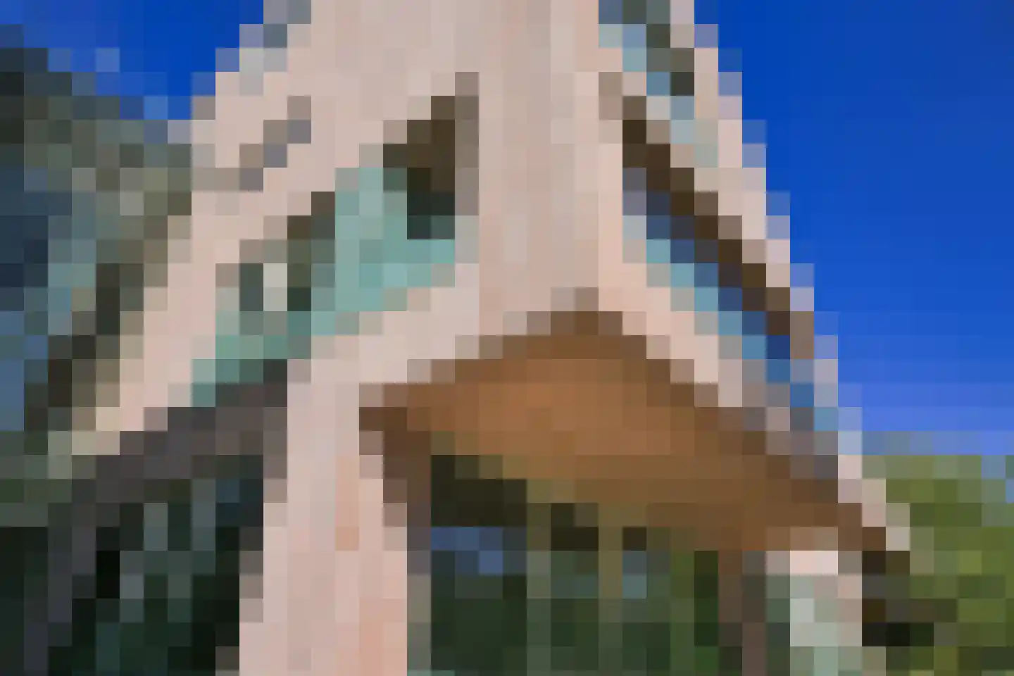 Willem van Weldammelaan 111 Amsterdam thumbnail 39