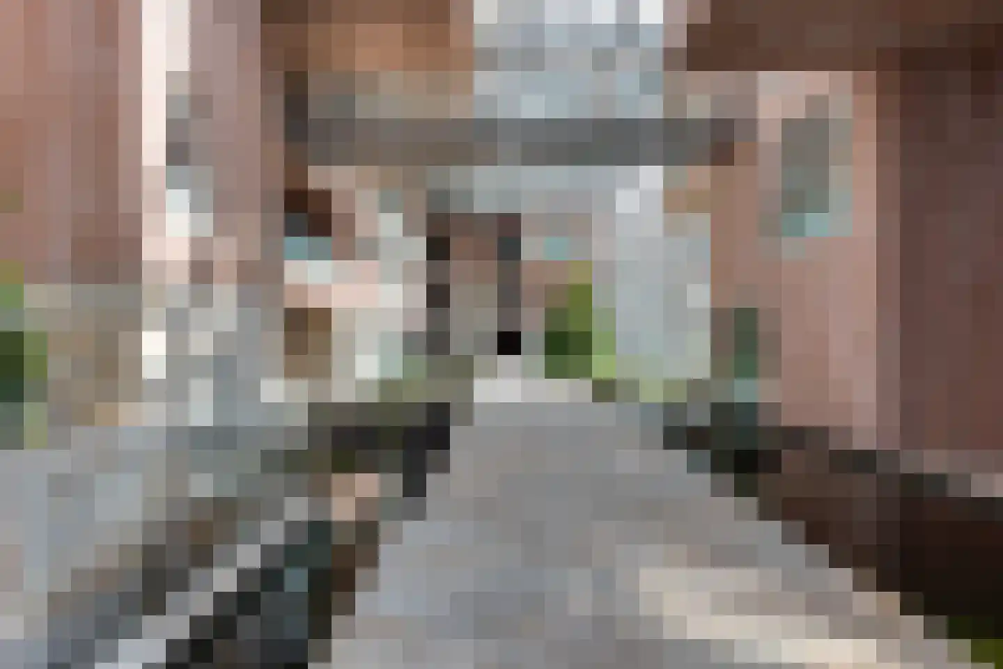 Willem van Weldammelaan 111 Amsterdam thumbnail 42