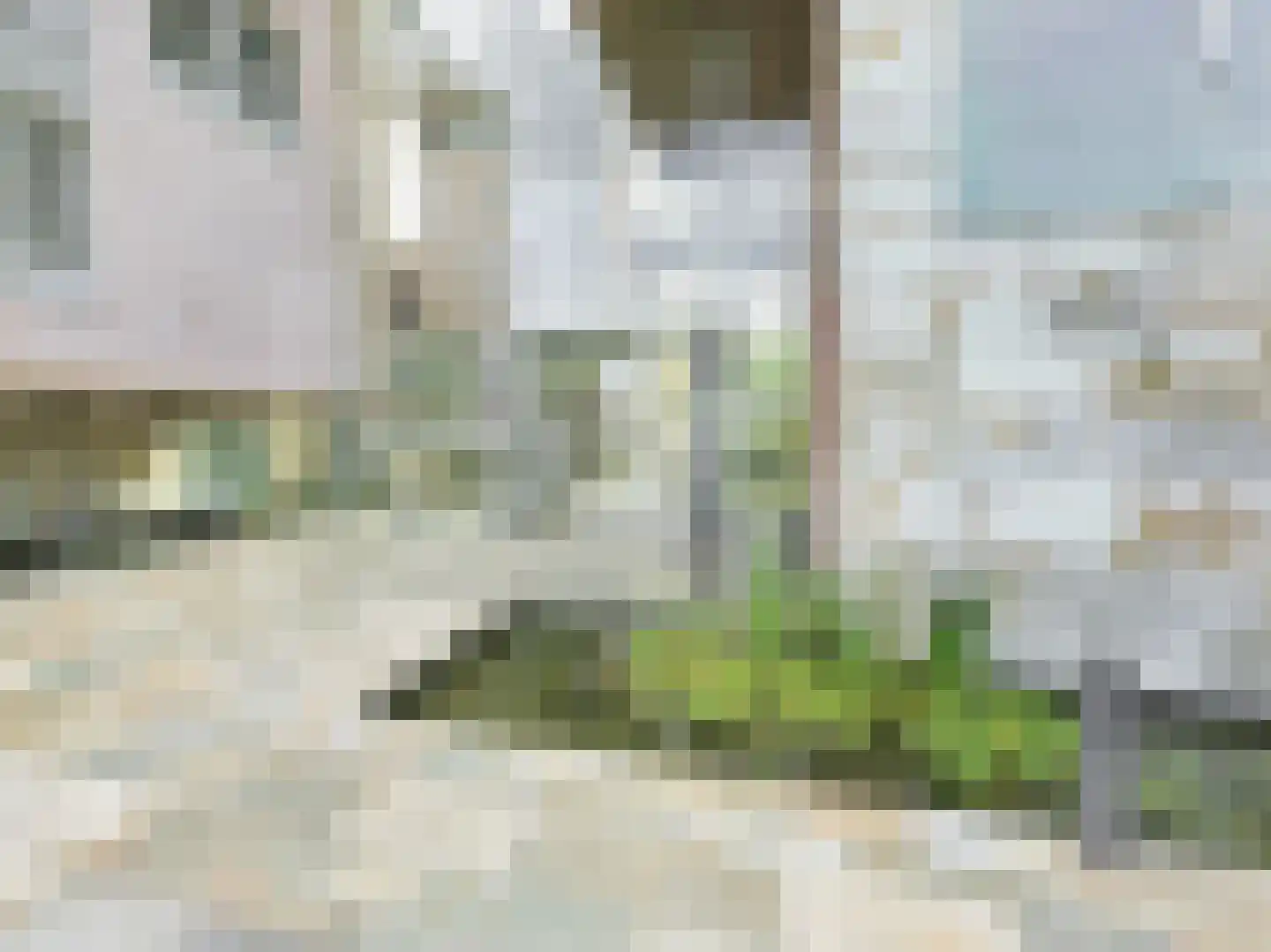 Willem van Weldammelaan 111 Amsterdam thumbnail 45