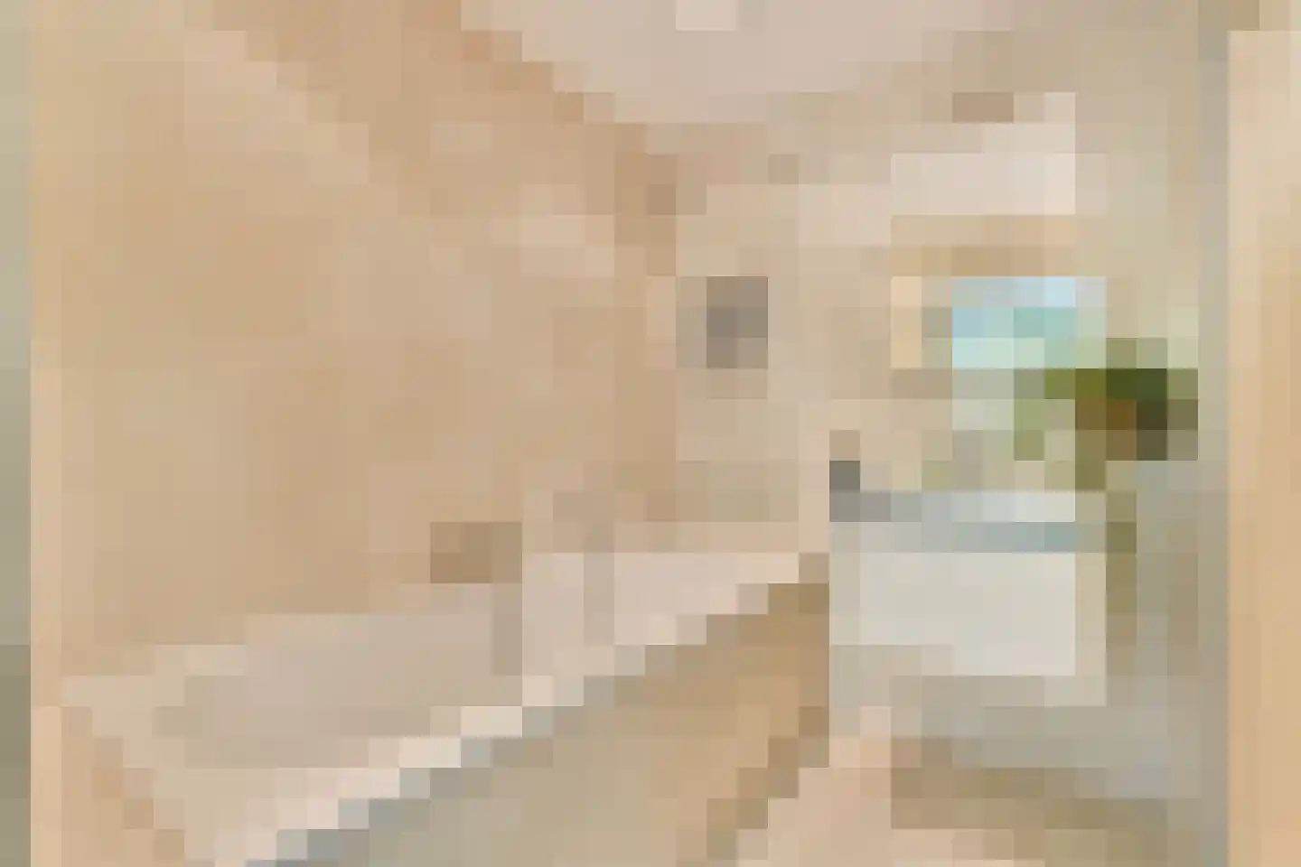 Willem van Weldammelaan 20 Amsterdam thumbnail 12