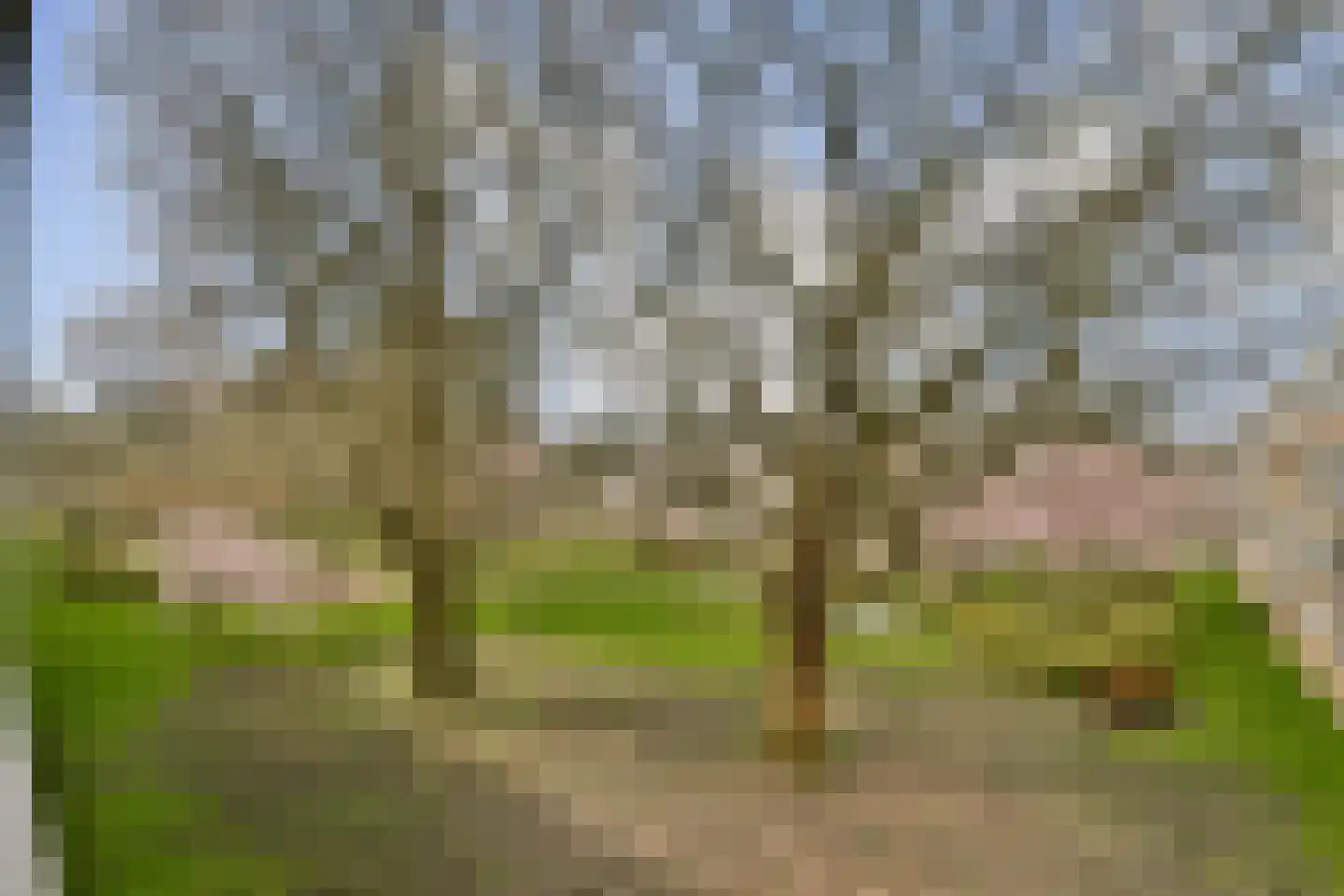 Willem van Weldammelaan 20 Amsterdam thumbnail 21