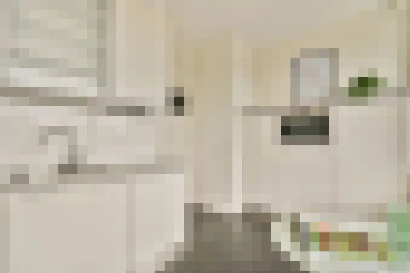 Willem van Weldammelaan 20 Amsterdam thumbnail 7