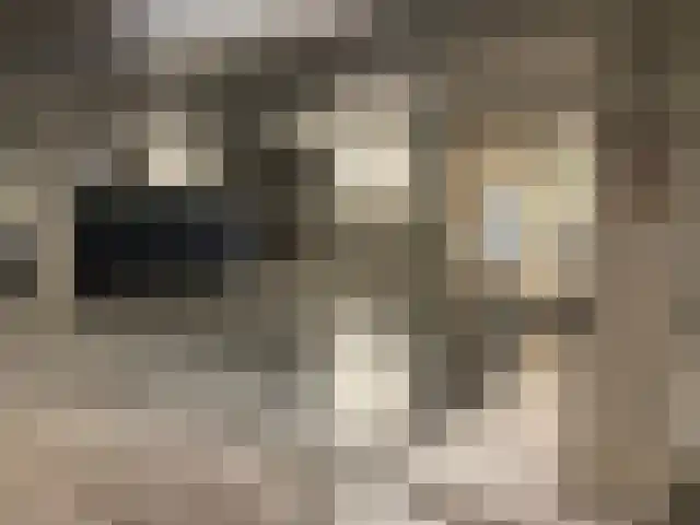 Willem van Weldammelaan 25 Amsterdam thumbnail 5