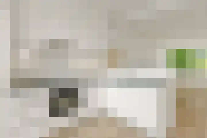 Willem van Weldammelaan 66 Amsterdam thumbnail 12