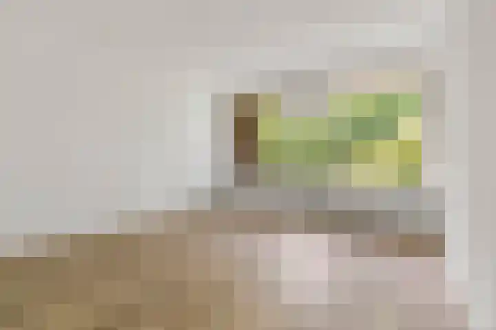 Willem van Weldammelaan 66 Amsterdam thumbnail 16