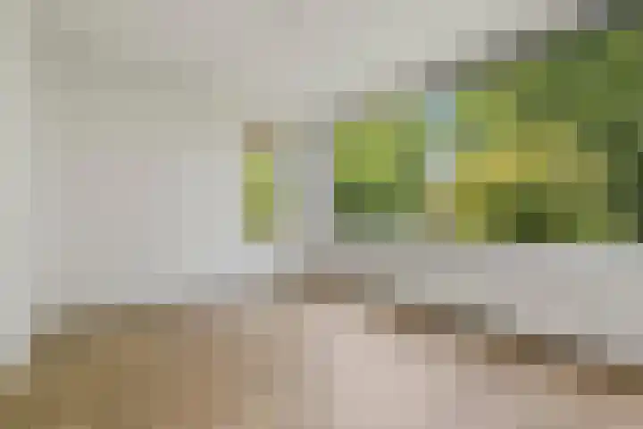 Willem van Weldammelaan 66 Amsterdam thumbnail 19