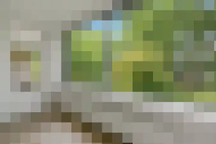 Willem van Weldammelaan 66 Amsterdam thumbnail 21