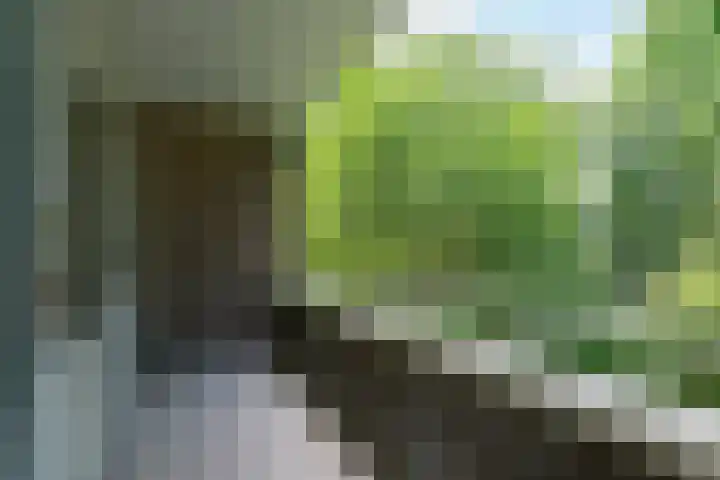 Willem van Weldammelaan 66 Amsterdam thumbnail 28