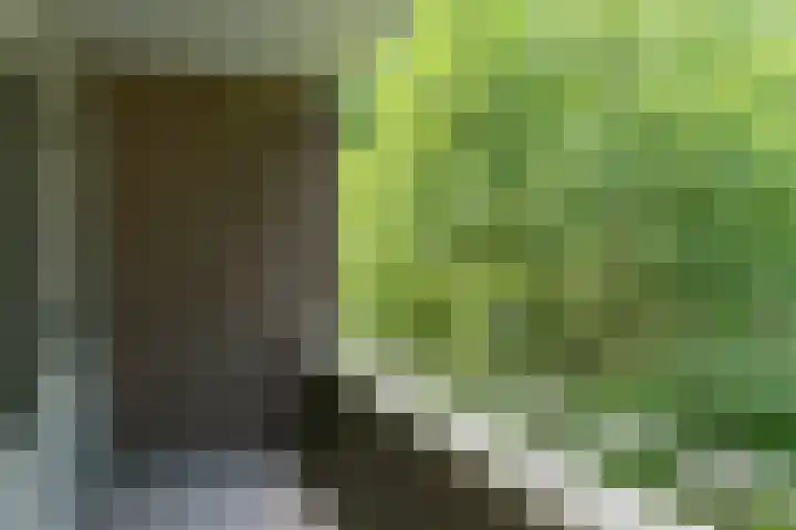 Willem van Weldammelaan 66 Amsterdam thumbnail 29