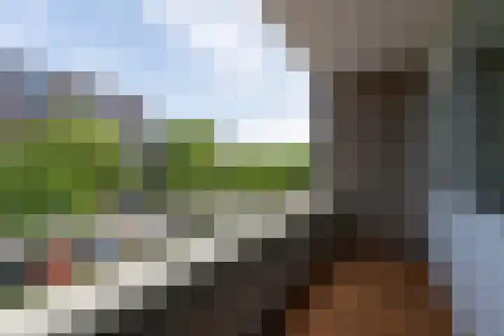 Willem van Weldammelaan 66 Amsterdam thumbnail 31