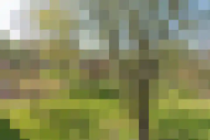 Willem van Weldammelaan 66 Amsterdam thumbnail 33