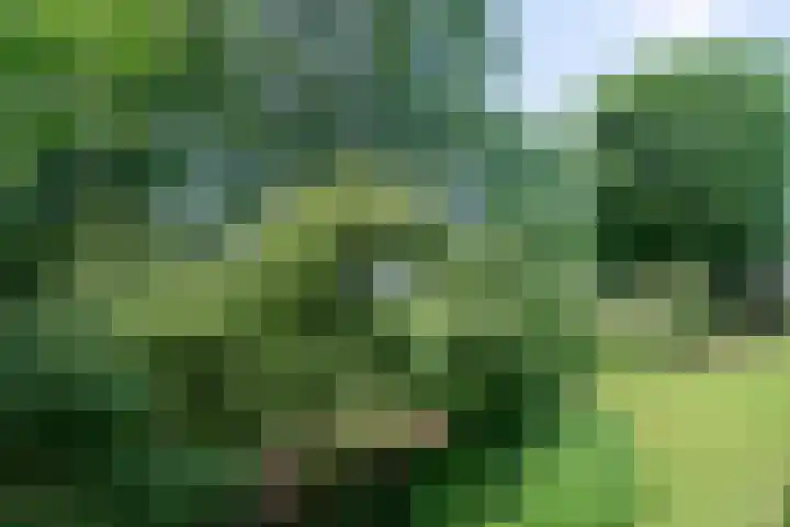 Willem van Weldammelaan 66 Amsterdam thumbnail 38