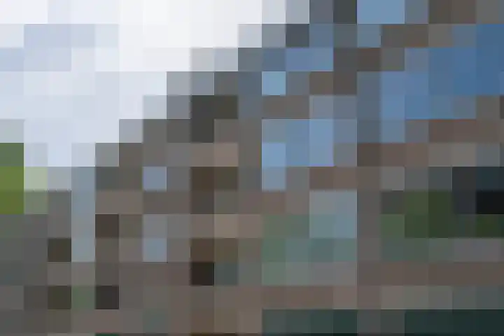 Willem van Weldammelaan 66 Amsterdam thumbnail 44