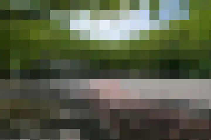 Willem van Weldammelaan 66 Amsterdam thumbnail 48