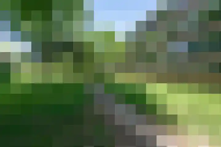 Willem van Weldammelaan 66 Amsterdam thumbnail 50