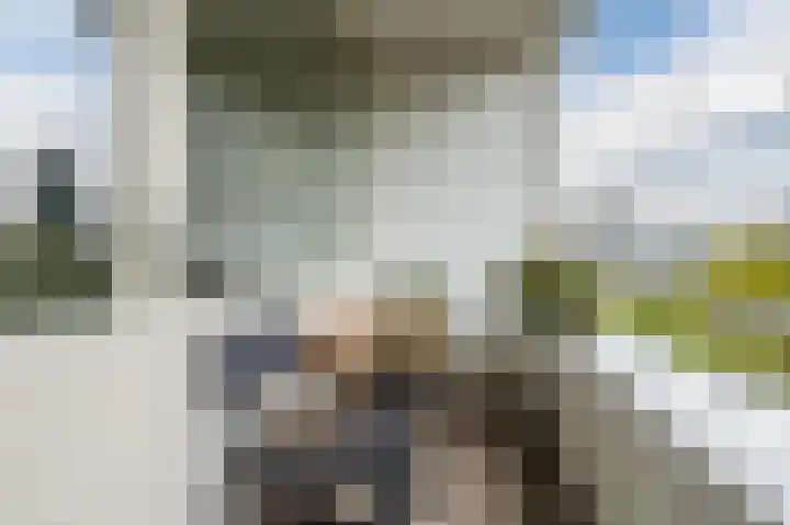 Willem van Weldammelaan 84 Amsterdam thumbnail 18