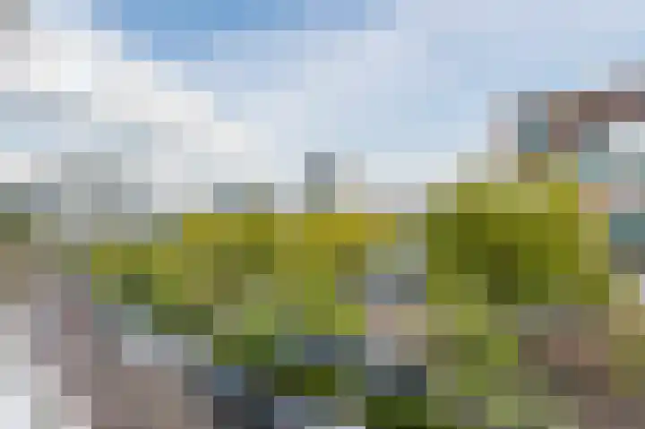 Willem van Weldammelaan 84 Amsterdam thumbnail 20