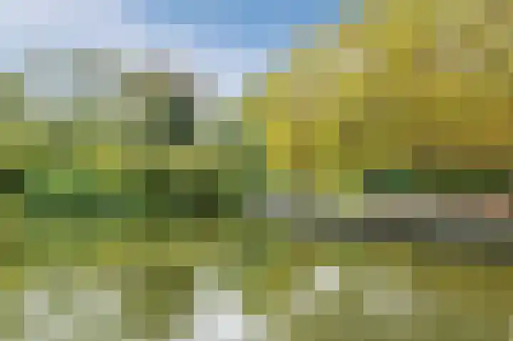Willem van Weldammelaan 84 Amsterdam thumbnail 25