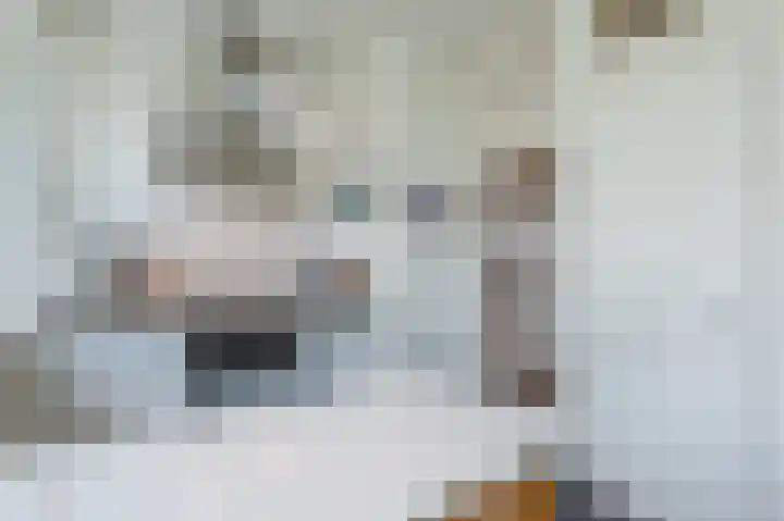 Willem van Weldammelaan 84 Amsterdam thumbnail 9