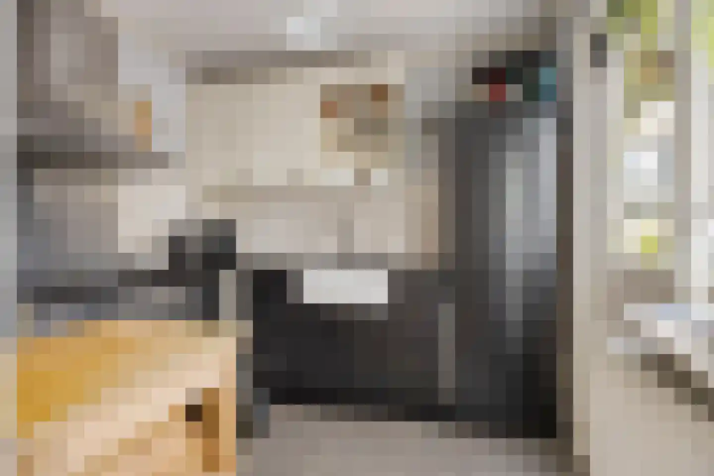 Willem van Windenstraat 3 Pijnacker thumbnail 18